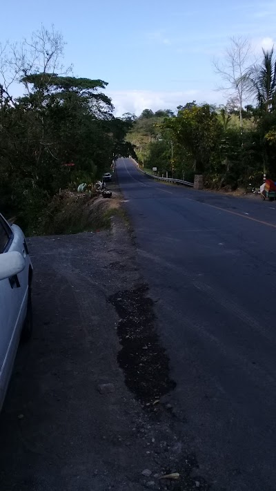 Photos of Bar EL Pollito