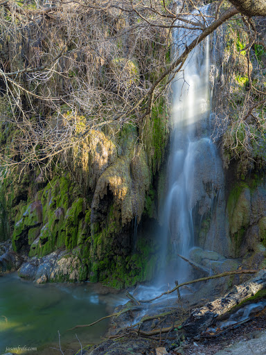 Gorman Falls - Visual