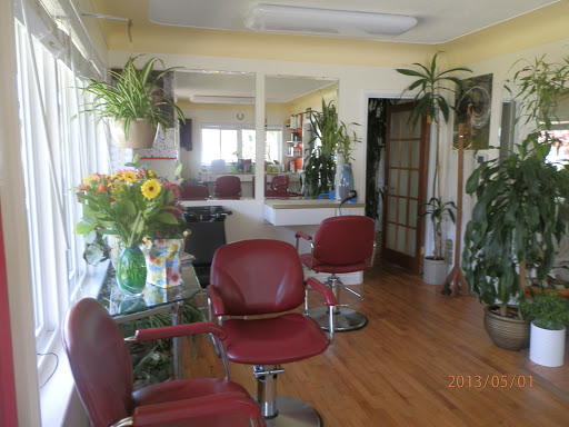TopStar HairStylists