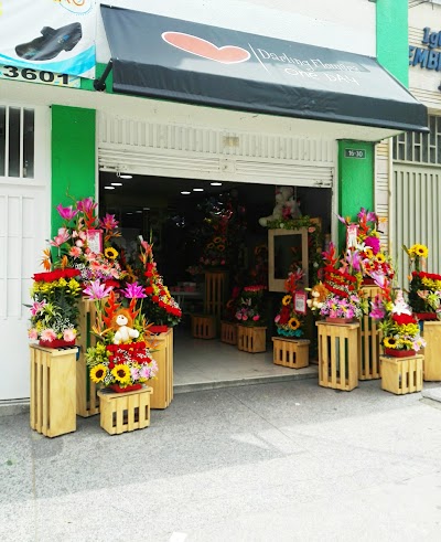 Photos of Darling Flowers