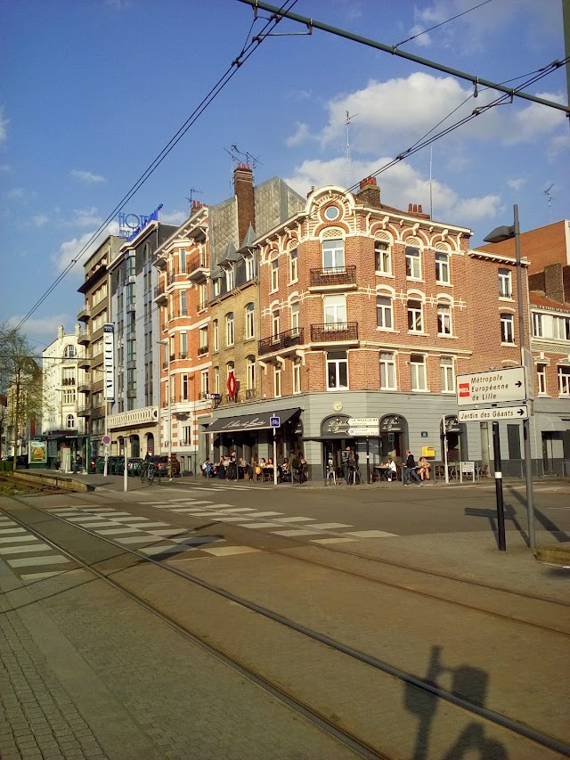 Le Romarin