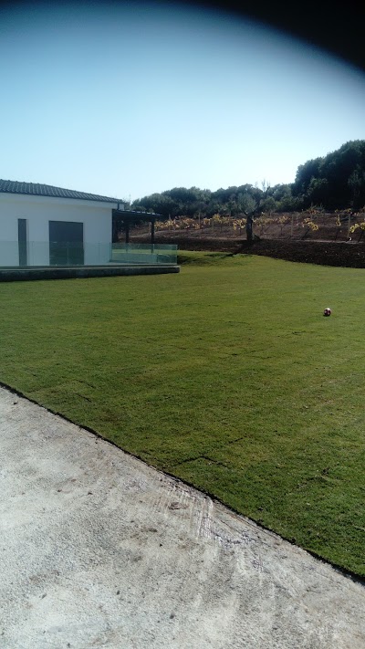 Photos of Stela's House