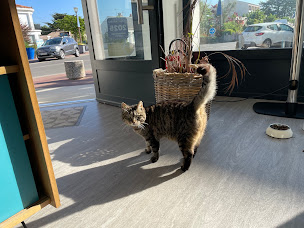 Photo n°3 de RéseauVendéen.immo L’IMMOBILIÈRE VENDÉENNE à Saint-Jean-de-Monts (Agence immobilière)