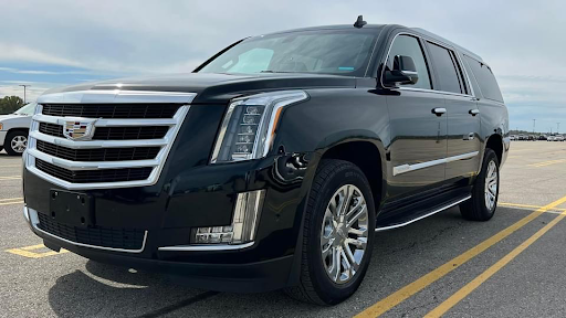 Metro DTW Sedan (Detroit Airport Limo Service)