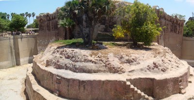 Photos of Alexandria zoo
