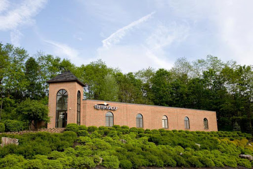 Teeter Group - Visual