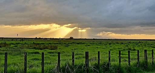 Thames Airfield - Thumbnail
