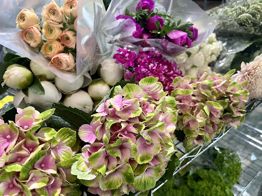 Focus Floral - Visual