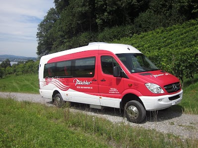 Photos of M&auml;chler Reisen und Transporte AG