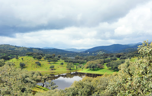 Ruralfinca Inmobiliaria - Spain