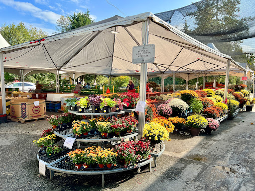 Farmer’s Market Richmond - Thumbnail