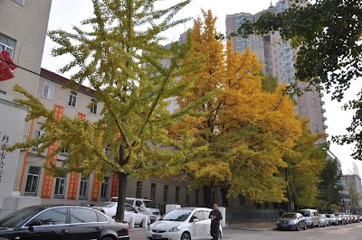 Dandong Public Security Hospital