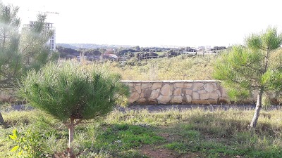 Photos of Doudou Mokhtar Garden