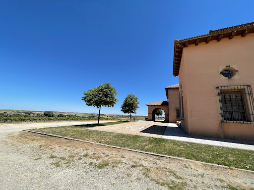 Bodega y Viñedos Agejas, S.L. - Thumbnail
