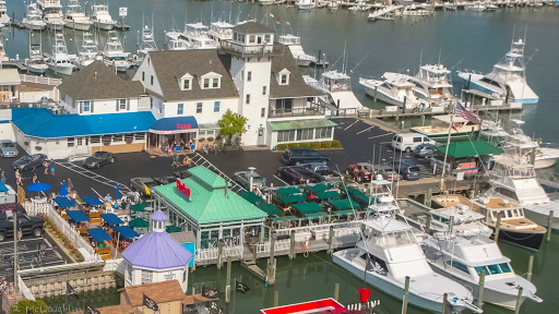 Rudee's Restaurant and Cabana Bar - Thumbnail