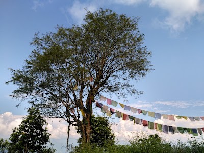 Photos of bauddha monastry