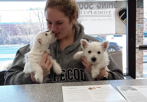 Animed Pet Hospital