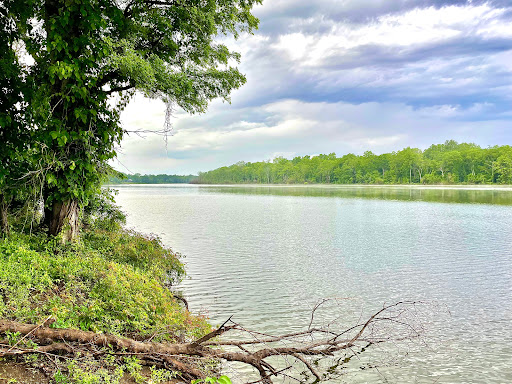 Lynn Realty - Thumbnail