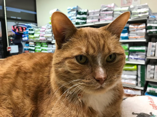 Thunderbird Animal Hospital - Thumbnail