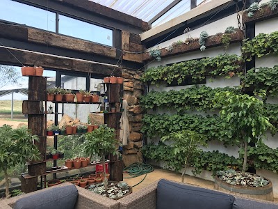 Photos of Blueberry Cafe