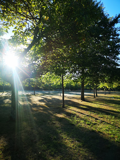 Aire naturelle de camping Lafargue Duport - Thumbnail