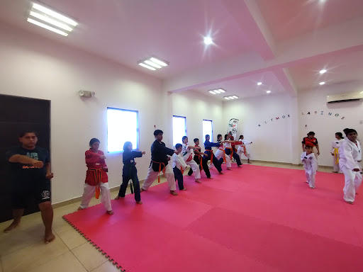 Taekwondo Oriente Dragones Reservas Logo