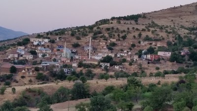 ağvanyolu