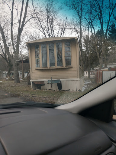 Midpoint Woods - Visual
