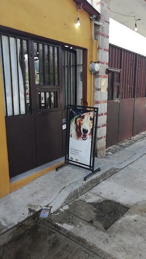 Clinvvet