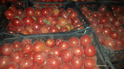 Photos of سوق المعاش