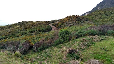Photos of El Quindio