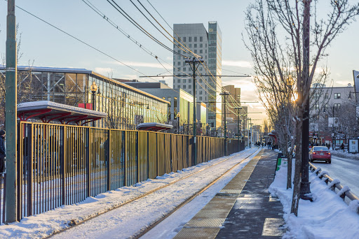 Northeastern - Visual