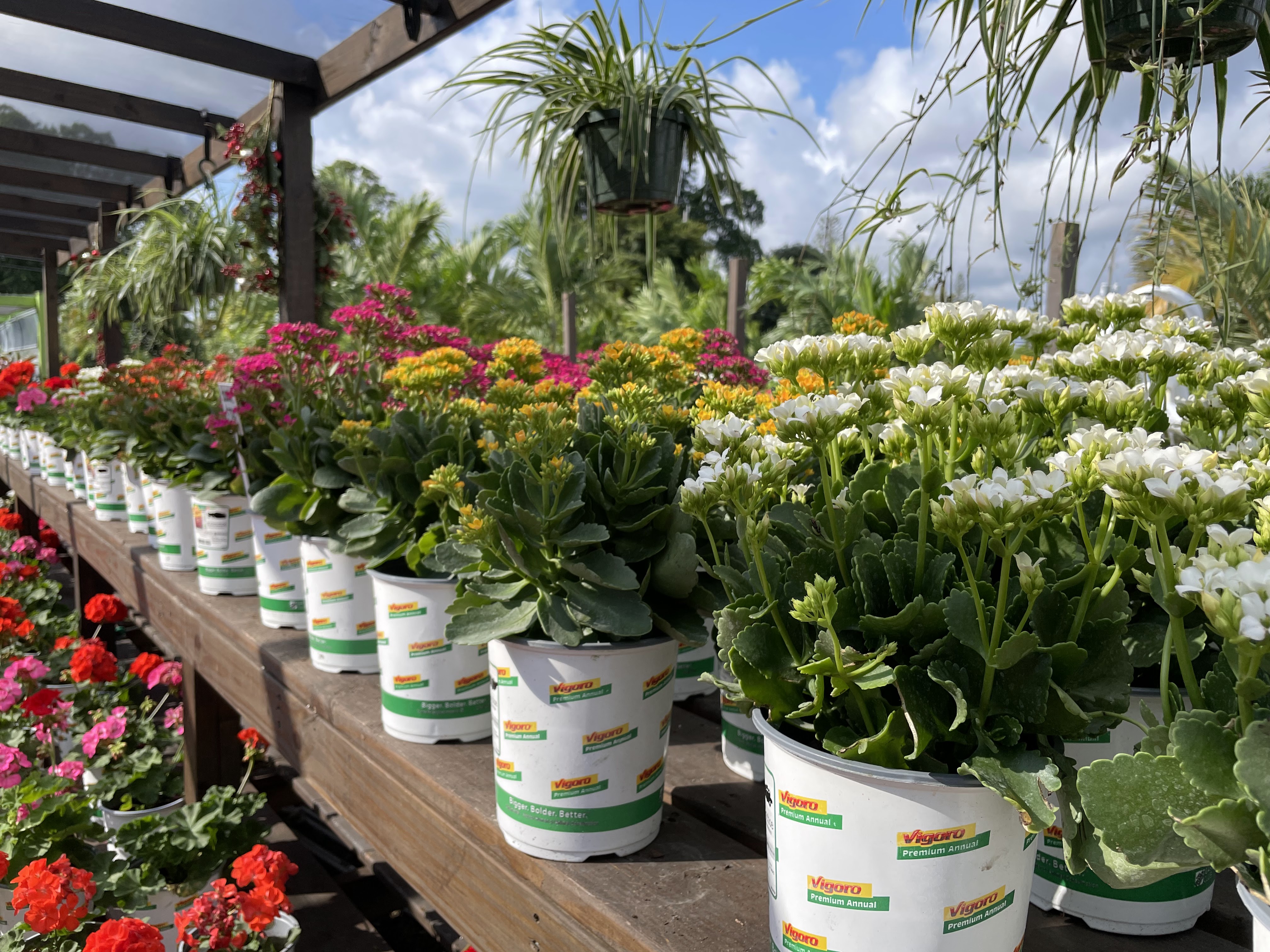 Laguna Bay Nursery Inc