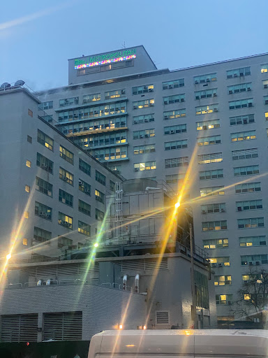NYC Health + Hospitals/Metropolitan Gallery - United States