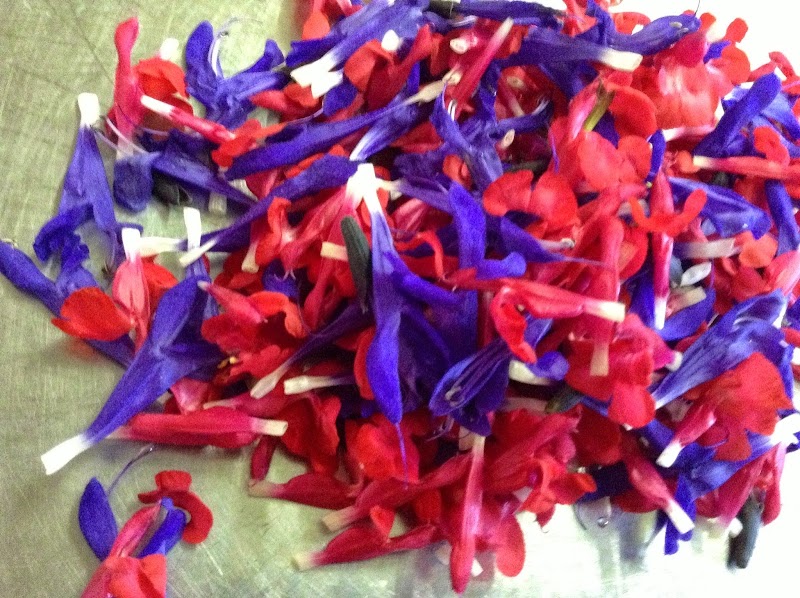 レストラン音楽のように