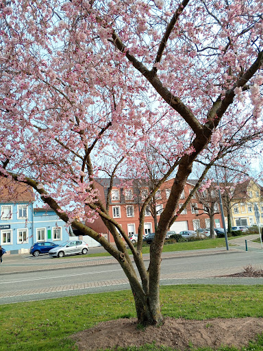 Photo 1 - RESTAURANT DE LA GARE Bischwiller