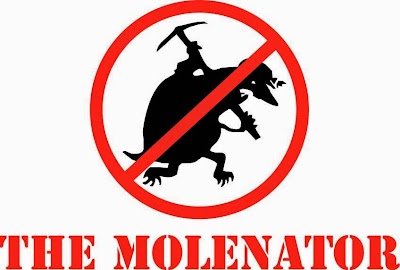 The Molenator