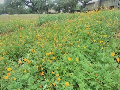 Photos of Walnut Springs Park