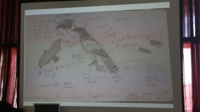 Photos of Field Ornithology Group of Sri Lanka