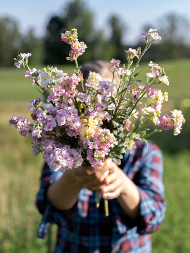Alethia Fields - Visual