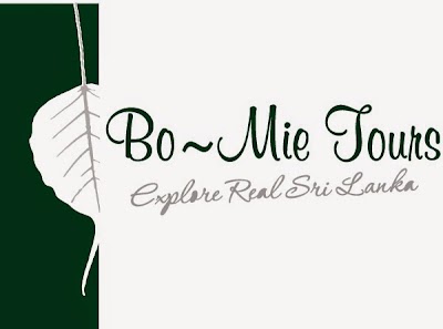 Photos of Bo Mie Tours