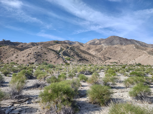 City of Palm Desert Homme-Adams Park - Thumbnail
