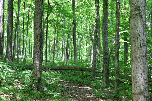 Lake Towhee Park - Thumbnail