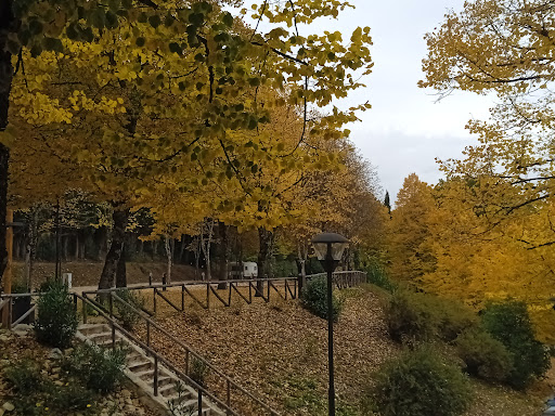 Umbria Camp - Visual