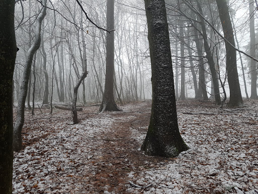 Kerbacher Loch