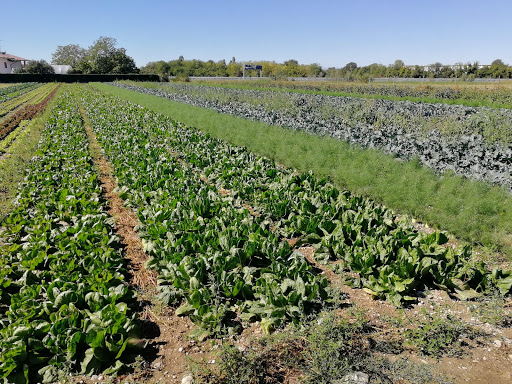 Azienda Agricola Sabrina - Thumbnail