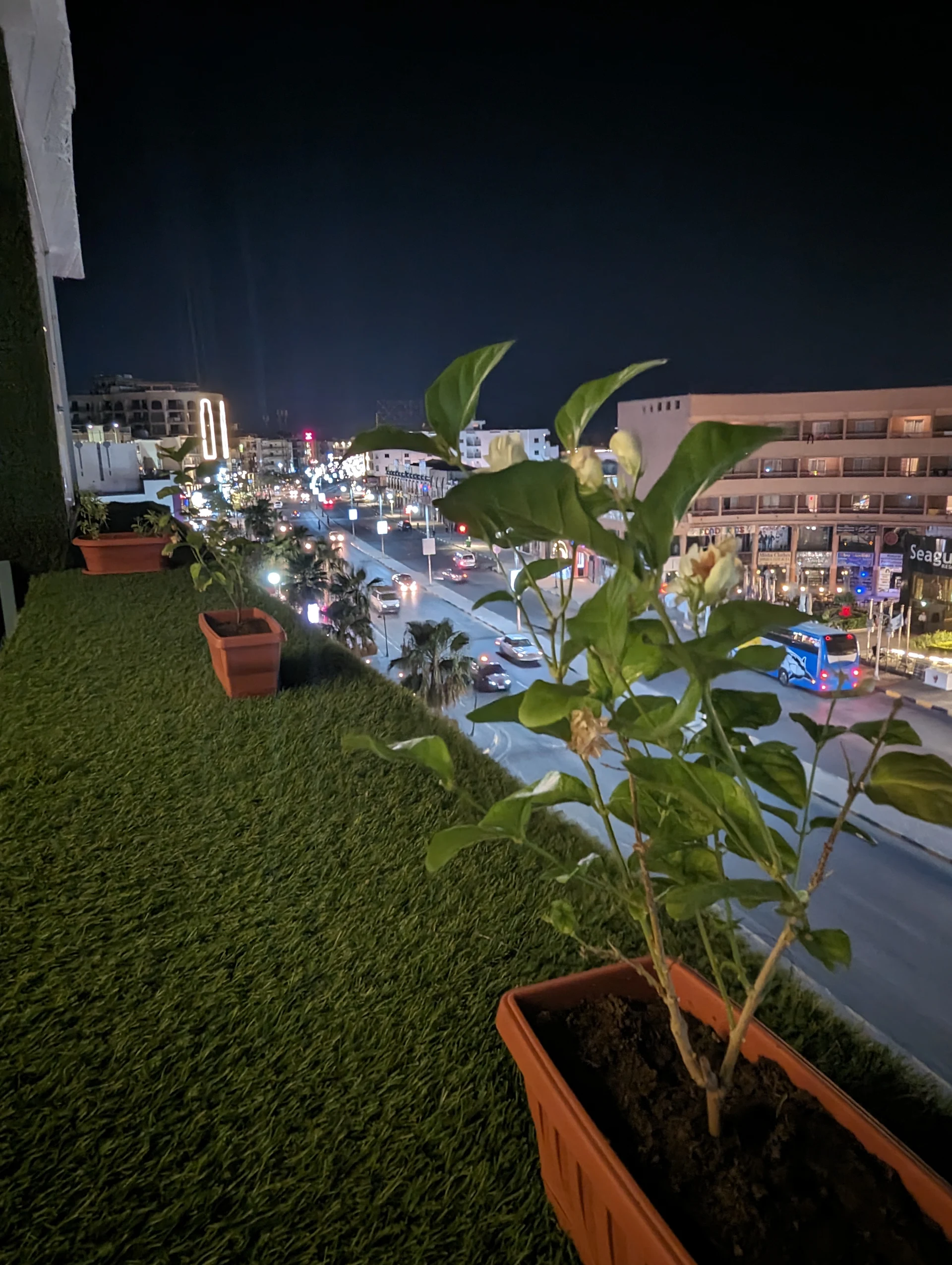 Bedcoin Hostel