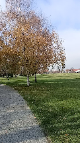 telefon Parcul Coloanei fără sfârșit