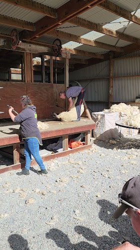 Reviews of McLeans Island Miniature Trains (CLS) in Christchurch - Other