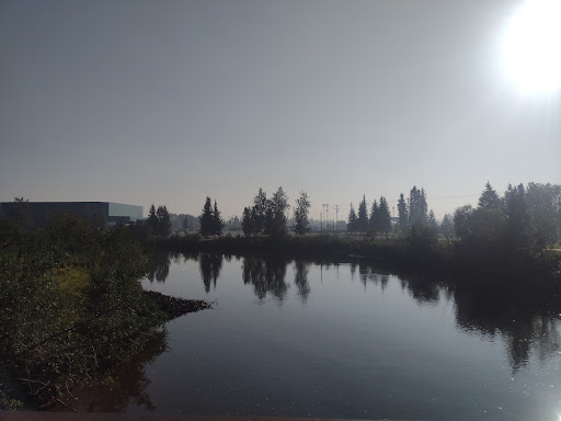Chena Riverwalk - Visual